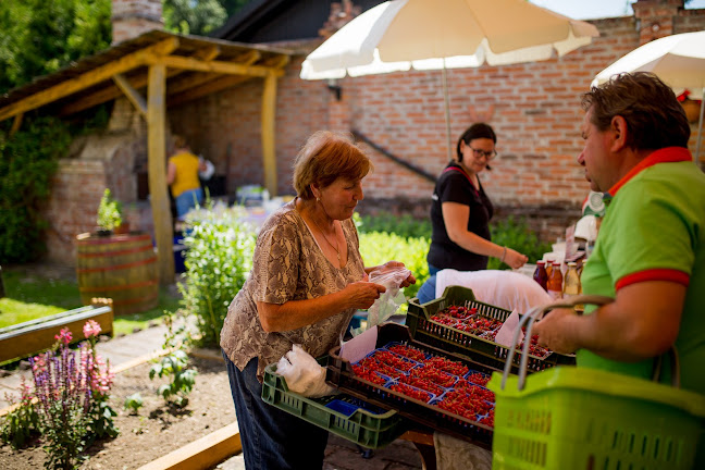 Nagykanizsa, Szőlősgazda út 1, 8800 Magyarország