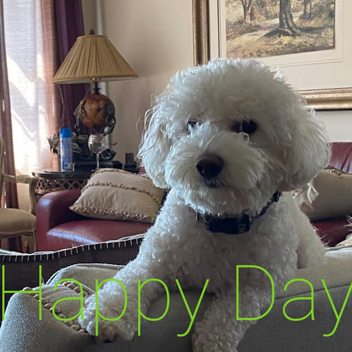 Pet Supply Store «PetSmart», reviews and photos, 2100 88th St, North Bergen, NJ 07047, USA