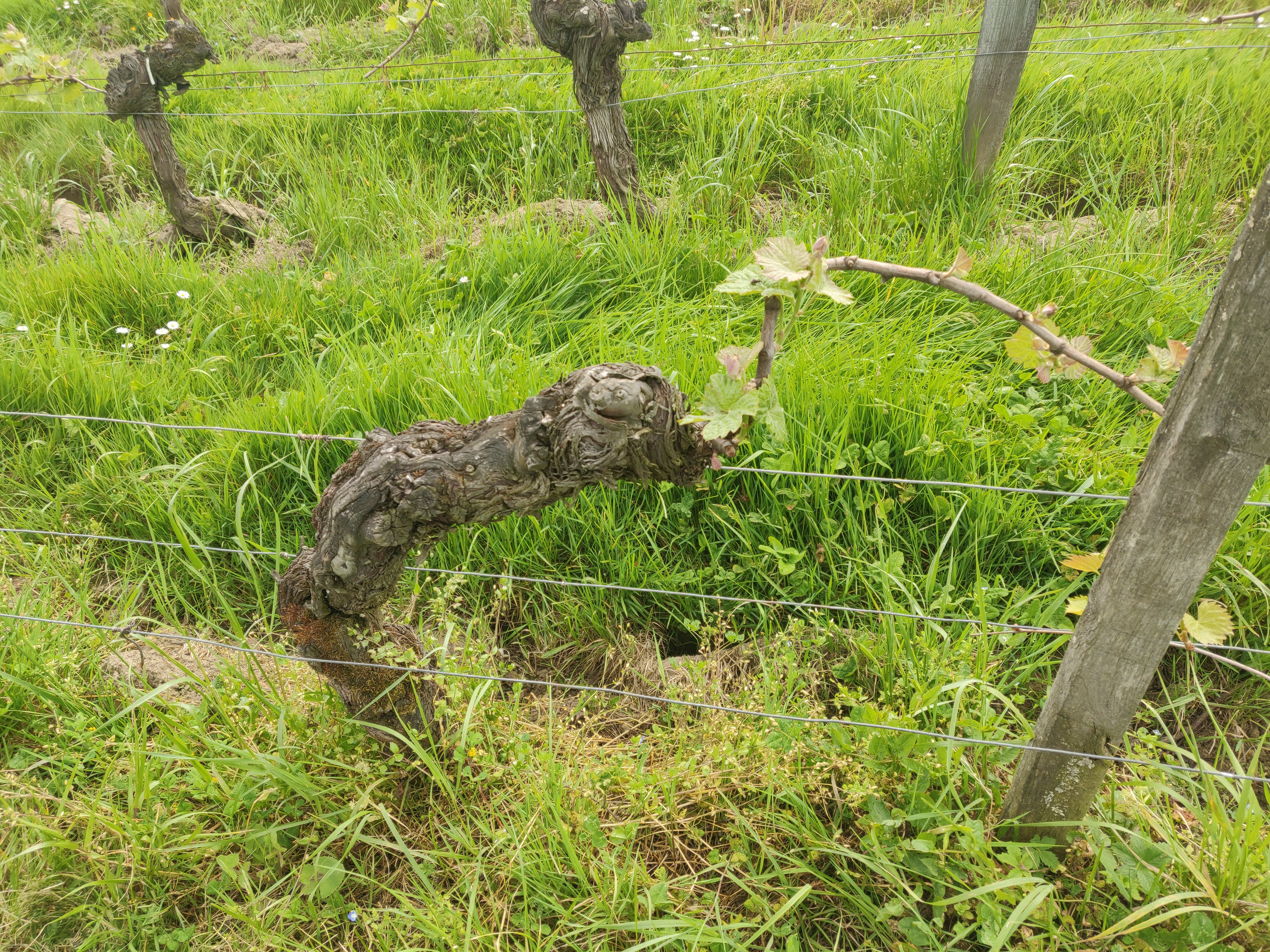 Photo n° 10 de l'avis de Zirun.a fait le 28/04/2022 à 12:08