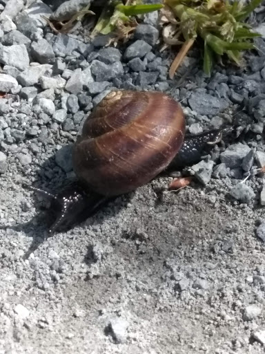 Park «West Hylebos Wetlands Park», reviews and photos, 411 S 348th St, Federal Way, WA 98003, USA