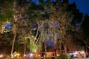 Shaya suandoi resort image