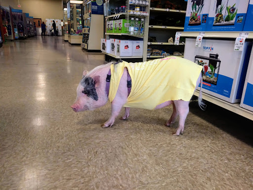 Pet Supply Store «PetSmart», reviews and photos, 310 N White Horse Pike, Lawnside, NJ 08045, USA