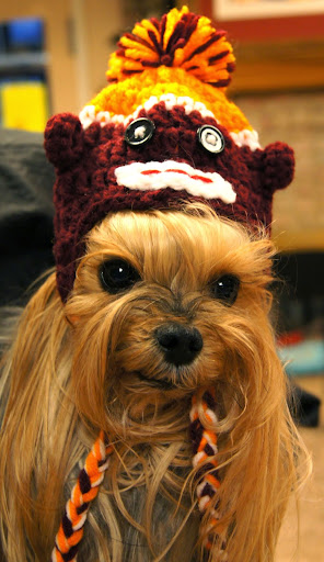 Pet Boarding Service «About Pets Center», reviews and photos, 1604 Conehurst Blvd, Salem, VA 24153, USA