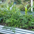 Holloways Beach Community Garden