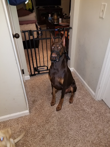 Pet Supply Store «Rucker Horse & Pet», reviews and photos, 3540 Keith Bridge Rd, Cumming, GA 30041, USA