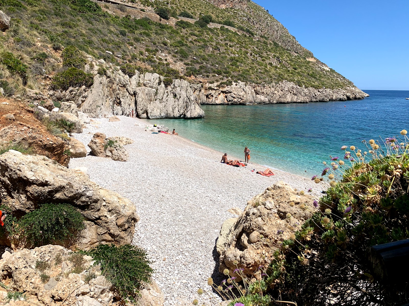 Foto di Spiaggia Riserva Naturale Orientata dello Zingaro con una superficie del ciottoli beige