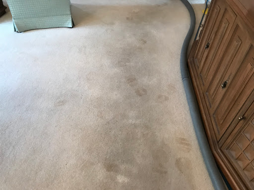 Carpet Cleaning Service «Elite Carpet Cleaning Service», reviews and photos, 29031 Glenarden St, Farmington Hills, MI 48334, USA