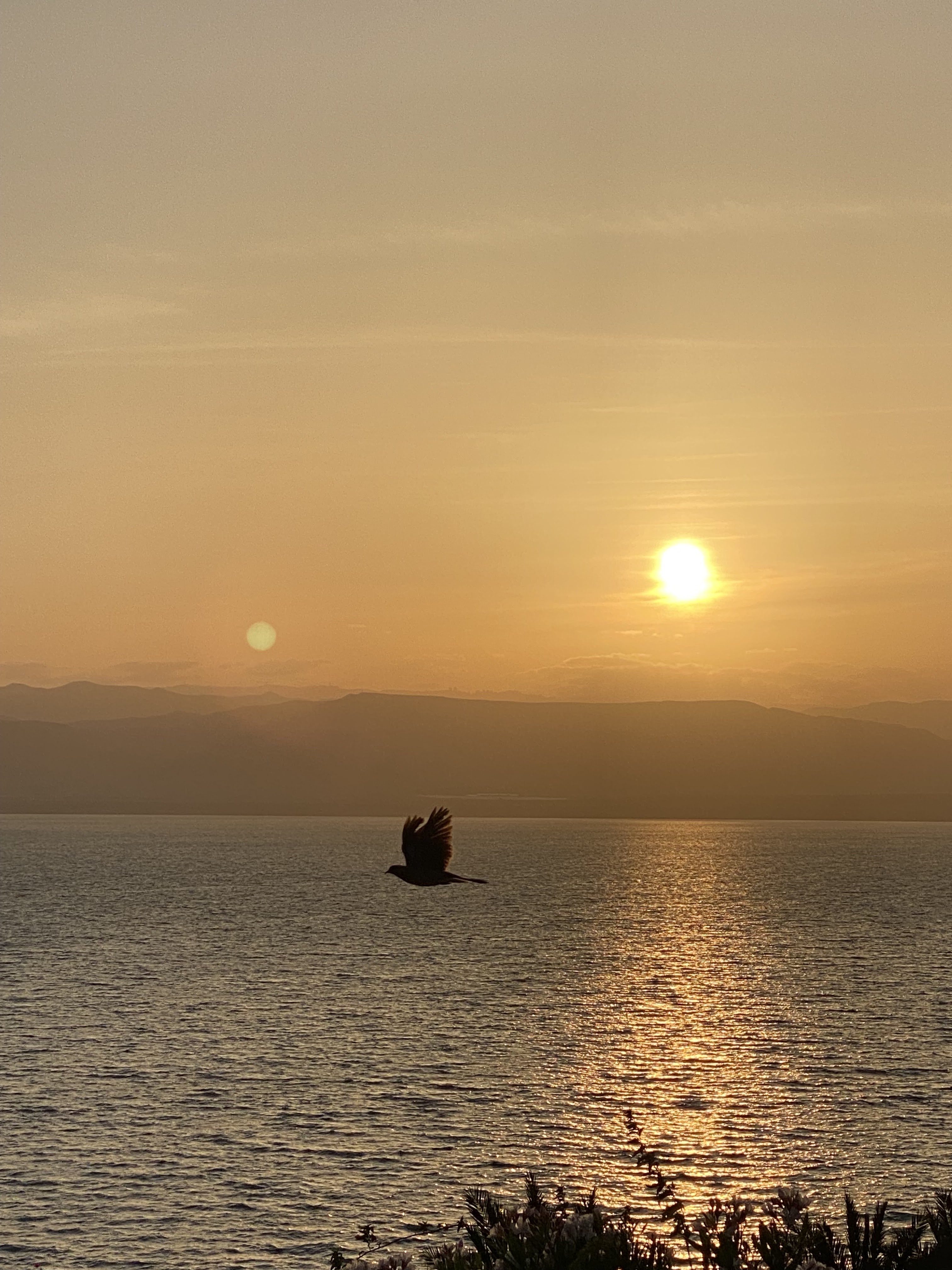 Photo n° 12 de l'avis de Etienne.h fait le 27/05/2023 à 18:13