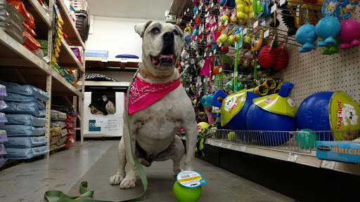 Farm Equipment Supplier «Family Farm & Home», reviews and photos, 66875 Gratiot Ave, Richmond, MI 48062, USA