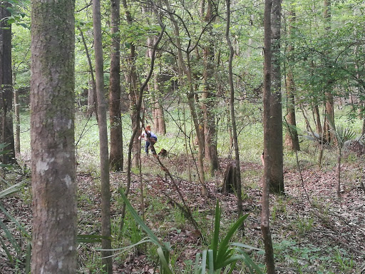 Nature Preserve «Frenchtown Rd Conservation Area», reviews and photos, 17819 Frenchtown Rd, Central, LA 70739, USA