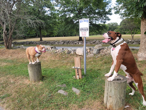 Dog Park «Danvers Dog Park», reviews and photos, 29 Ingersoll St, Danvers, MA 01923, USA