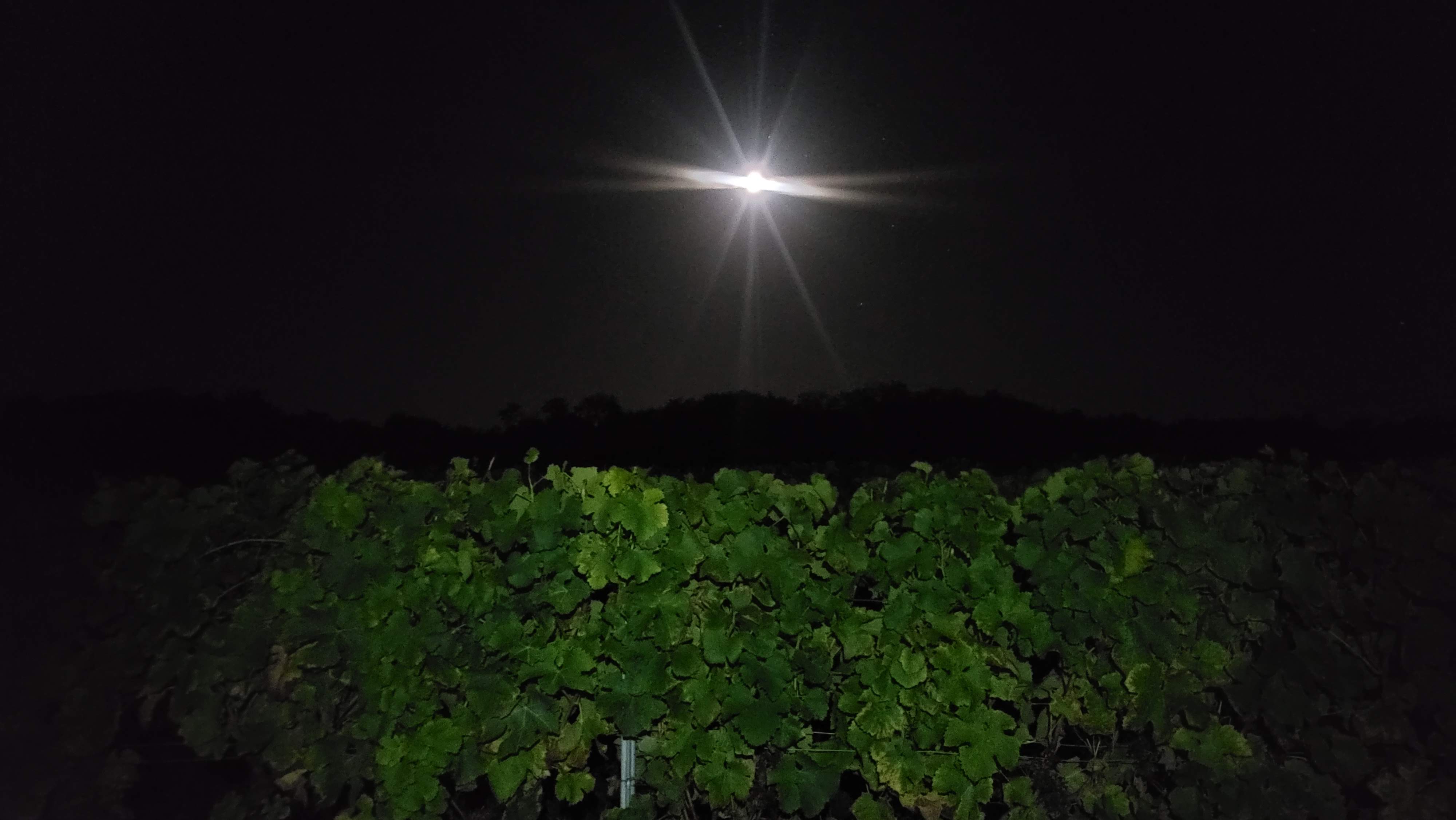 Photo n° 13 de l'avis de Gordian. fait le 25/09/2023 à 20:23