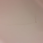 Photo n°1 de l'avis de Christine.p fait le 30/10/2021 à 12:12 sur le  Hotel Luitpold am See 1 & 2 à Prien am Chiemsee