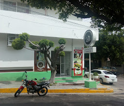 Café Siempre Verde photo