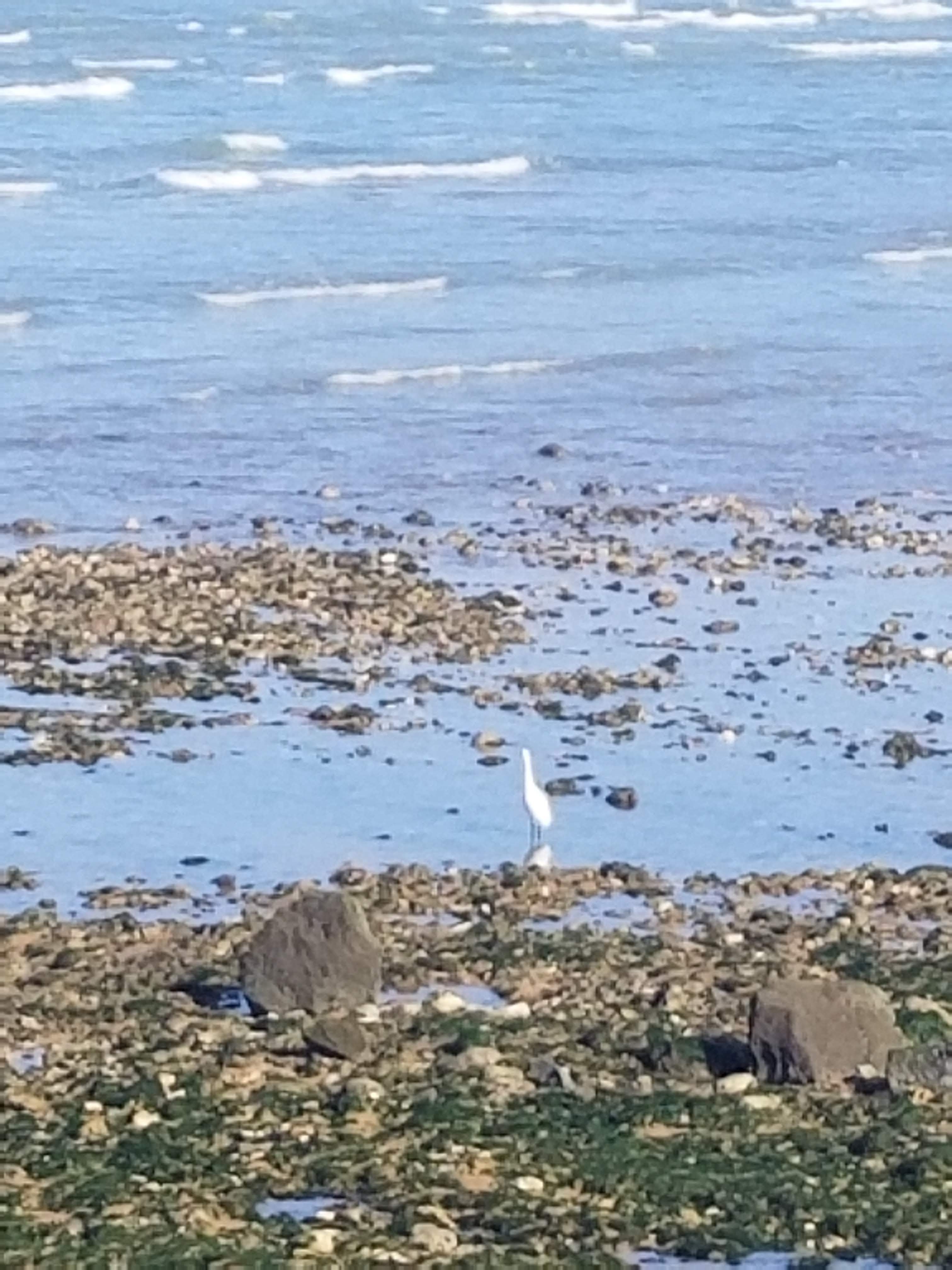 Photo n° 1 de l'avis de sophie.e fait le 15/03/2022 à 06:05