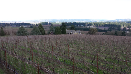 Winery «Raptor Ridge Winery», reviews and photos, 18700 SW Hillsboro Hwy, Newberg, OR 97132, USA