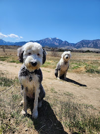 Unicorn Pawers Dog Walking - Photo 4 - Car repair in Broomfield, CO, Thornton