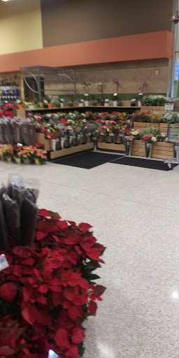 Supermarket «Publix Super Market at South Oaks Square», reviews and photos, 1528 S Ohio Ave, Live Oak, FL 32064, USA