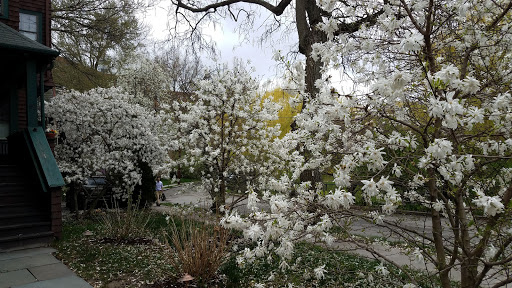 Park «Griggs Park», reviews and photos, 33 Griggs Rd, Brookline, MA 02446, USA