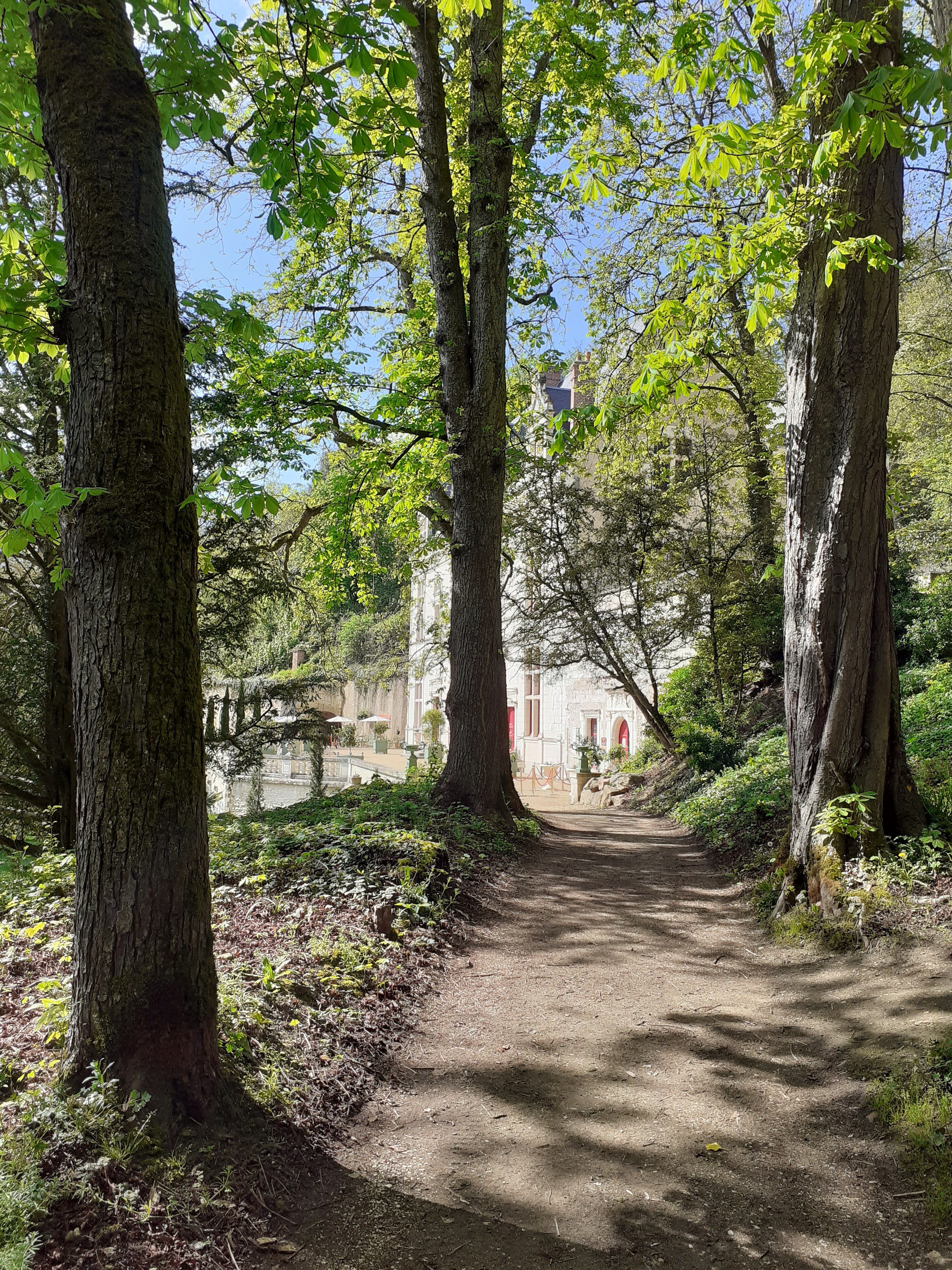 Photo n° 4 de l'avis de Ludovic.a fait le 15/04/2022 à 13:42