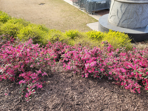 Amusement Park Ride «SkyView Atlanta», reviews and photos, 168 Luckie St NW, Atlanta, GA 30303, USA