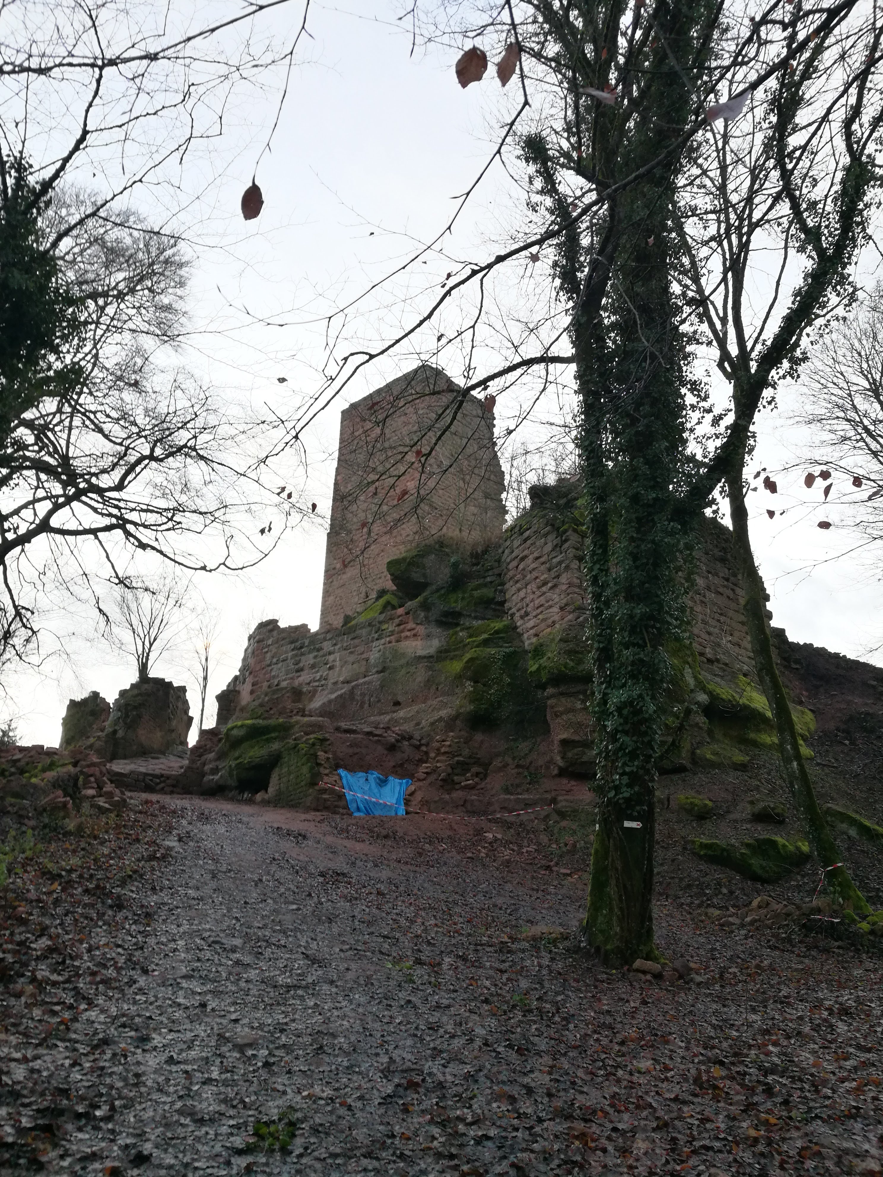 Photo n° 7 de l'avis de Didier.u fait le 27/12/2019 à 09:10