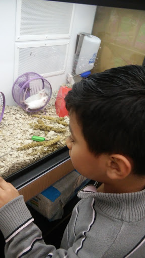 Pet Supply Store «Petco Animal Supplies», reviews and photos, 5717 Plank Rd, Fredericksburg, VA 22407, USA