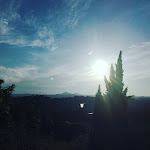 Photo n°1 de l'avis de Vania.a fait le 21/06/2018 à 21:35 sur le  Osteria Carpineta à Cesena