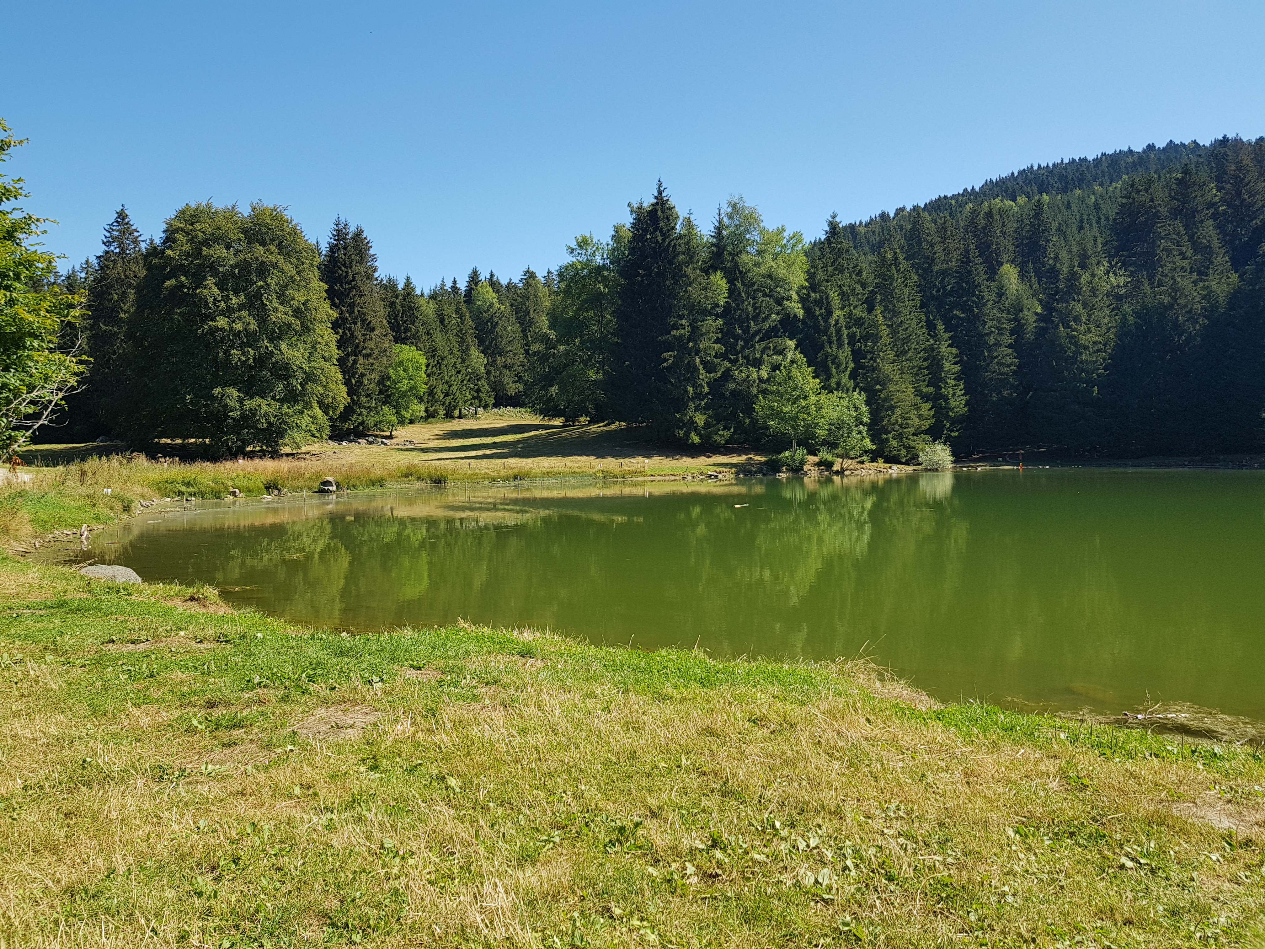 Photo n° 1 de l'avis de Aurel.H fait le 21/08/2020 à 12:59