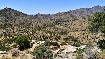 Thimble Peak Vista