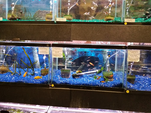 Pet Supply Store «Petland Discounts - Middle Village», reviews and photos, 6626 Metropolitan Ave, Middle Village, NY 11379, USA