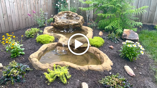 Aquarium «Universal Rocks», reviews and photos, 805 Shepherd Dr, Garland, TX 75042, USA