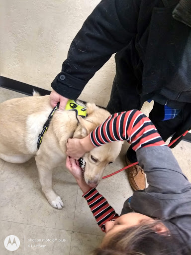 Pet Supply Store «Petco Animal Supplies», reviews and photos, 75 Highland Ave #6, Seekonk, MA 02771, USA