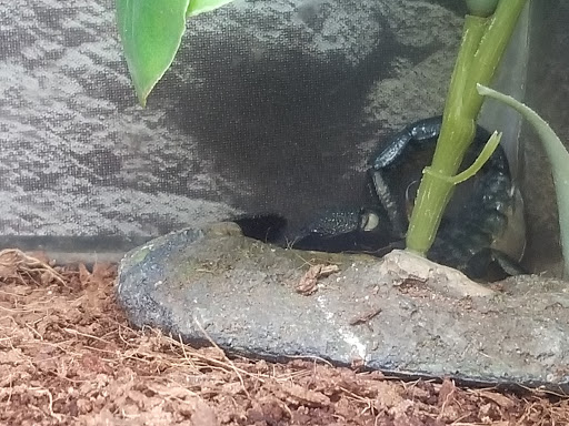 Pet Supply Store «Petco Animal Supplies», reviews and photos, 6425 Keizer Station Blvd, Keizer, OR 97303, USA