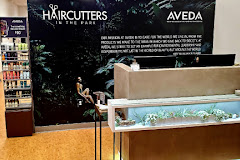 Haircutters in the Park - Aveda Lifestyle Salon