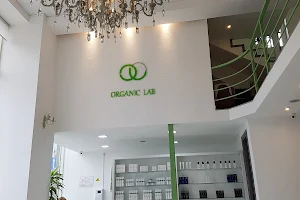 Organic Lab image