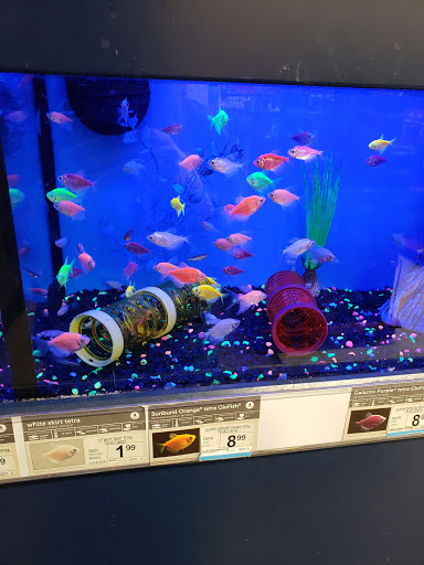 Pet Supply Store «Petco Animal Supplies», reviews and photos, 2131 Pleasant Hill Rd, Duluth, GA 30096, USA