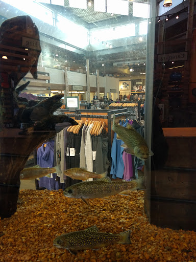 Clothing Store «L.L. Bean», reviews and photos, 280 School St, Mansfield, MA 02048, USA