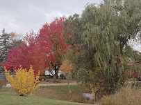 Platt Laundromat - Photo 8 - Car repair in Ann Arbor, MI, Ann Arbor
