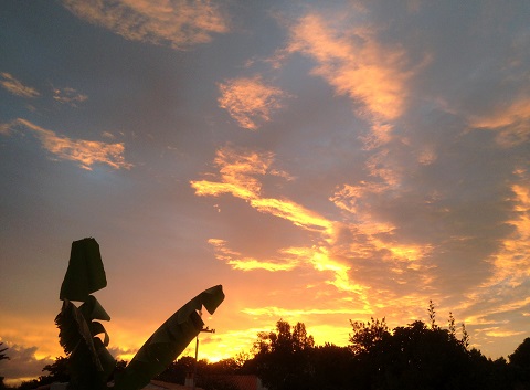 Photos du propriétaire Villa villa la prise du Jas 17480 Le Château-d'Oléron