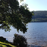 Photo n°1 de l'avis de S. fait le 13/07/2020 à 20:42 sur le  Brugger's Hotelpark am See à Titisee-Neustadt