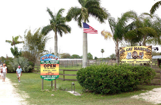 Non-Profit Organization «Big Cat Habitat & Gulf Coast Sanctuary», reviews and photos, 7101 Palmer Blvd, Sarasota, FL 34240, USA