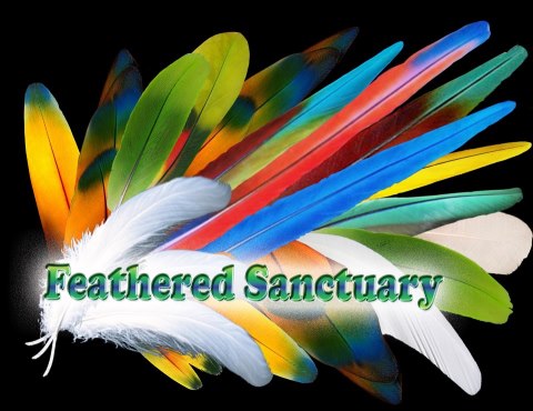 Feathered Sanctuary Exotic Bird Rescue
