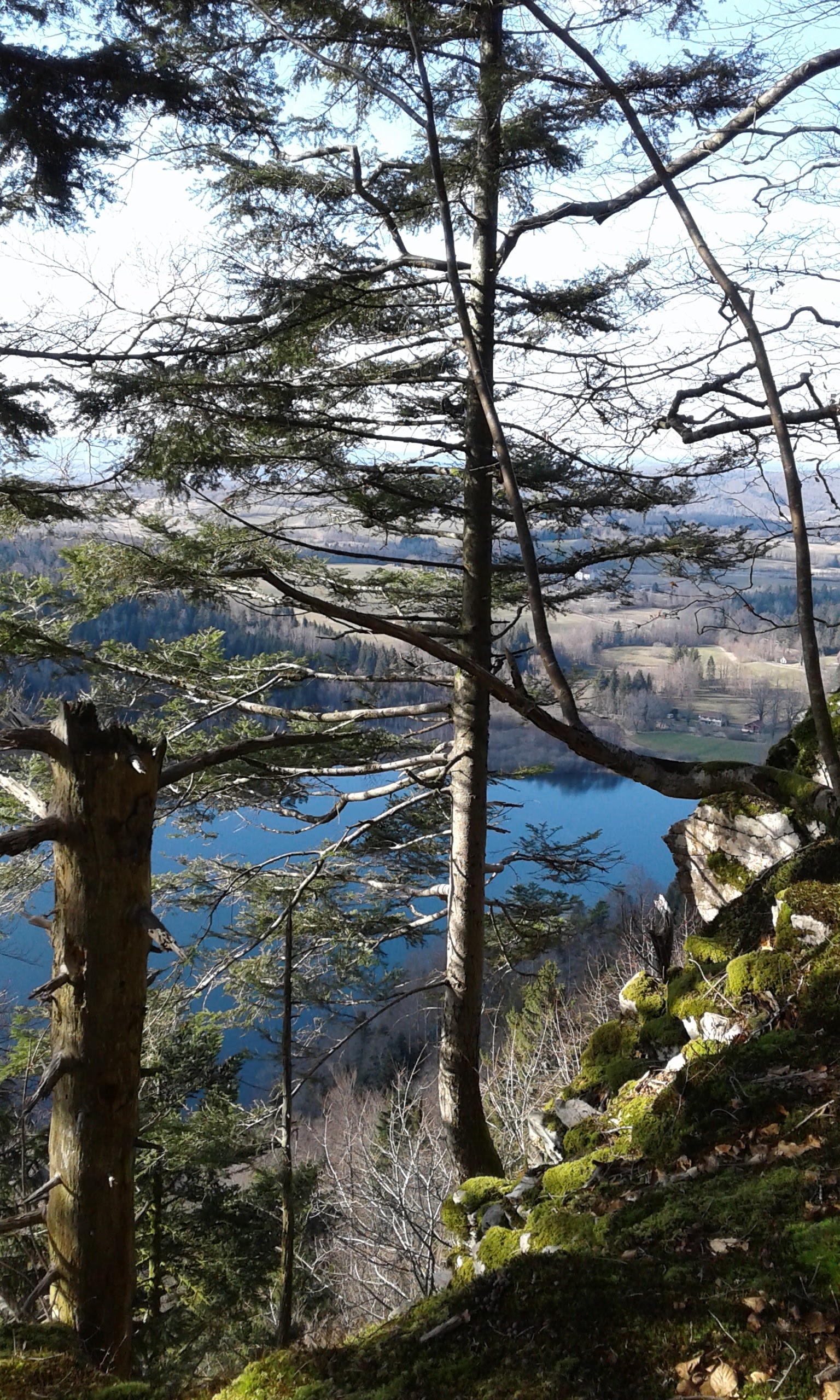 Photo n° 4 de l'avis de Pascale.o fait le 09/01/2019 à 12:58