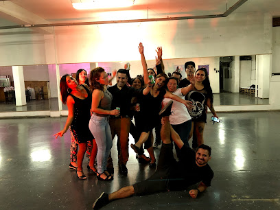 Academia Amigos del Baile ( poledance, bailes latinos, bailes urbanos, arriendo de salas )