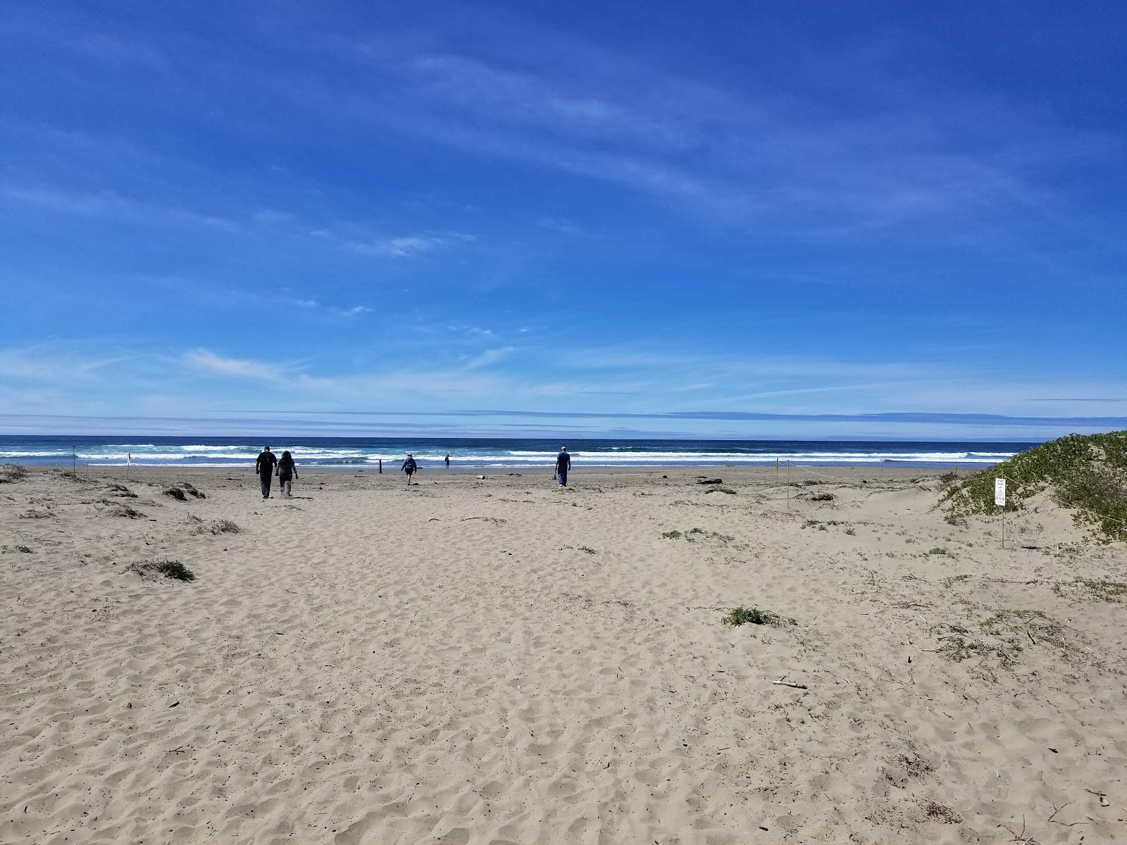 Valokuva Morro Bay Beachista. puhtaustasolla korkea