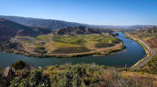 Quinta do Vale Meão