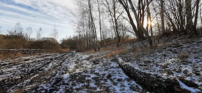 Terrils du marais de Fouquières à Harnes