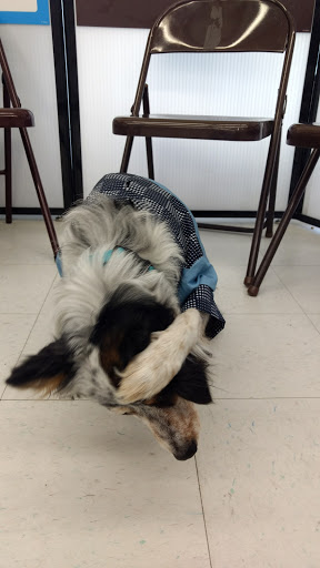 Pet Supply Store «Petco Animal Supplies», reviews and photos, 710 W 66th St, Richfield, MN 55423, USA