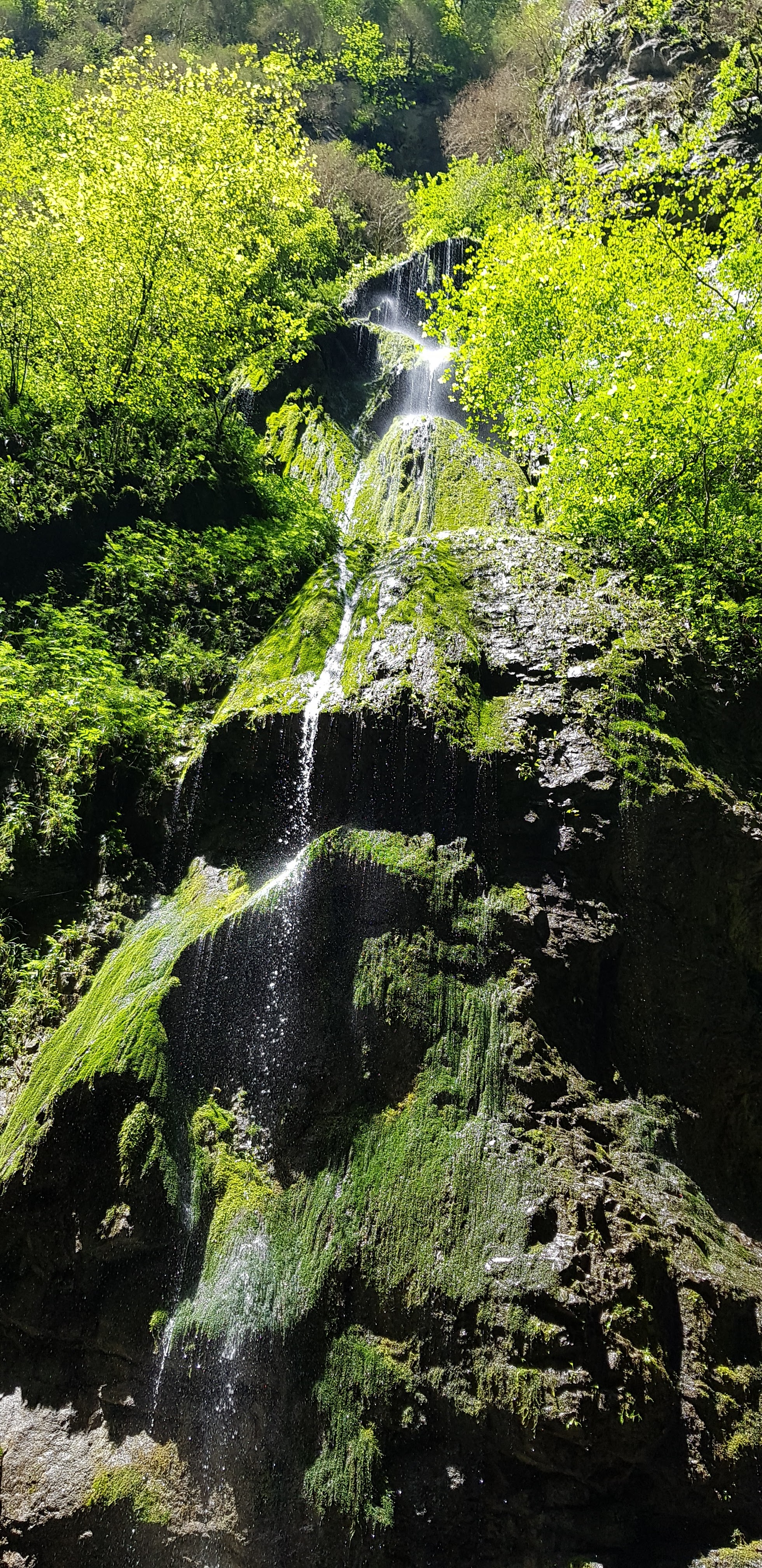 Photo n° 10 de l'avis de fabrice.e fait le 19/07/2018 à 07:30
